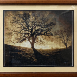 Why Is Professional Framing Important for Fine Art?